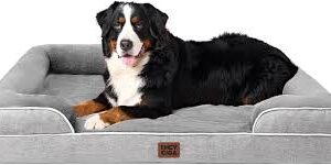 Orthopedic Foam Pet Bed