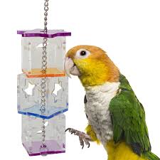 Bird Foraging Toys