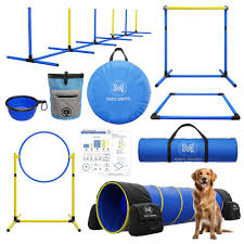 Dog Agility Training Kit