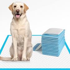Puppy Training Pee Pads